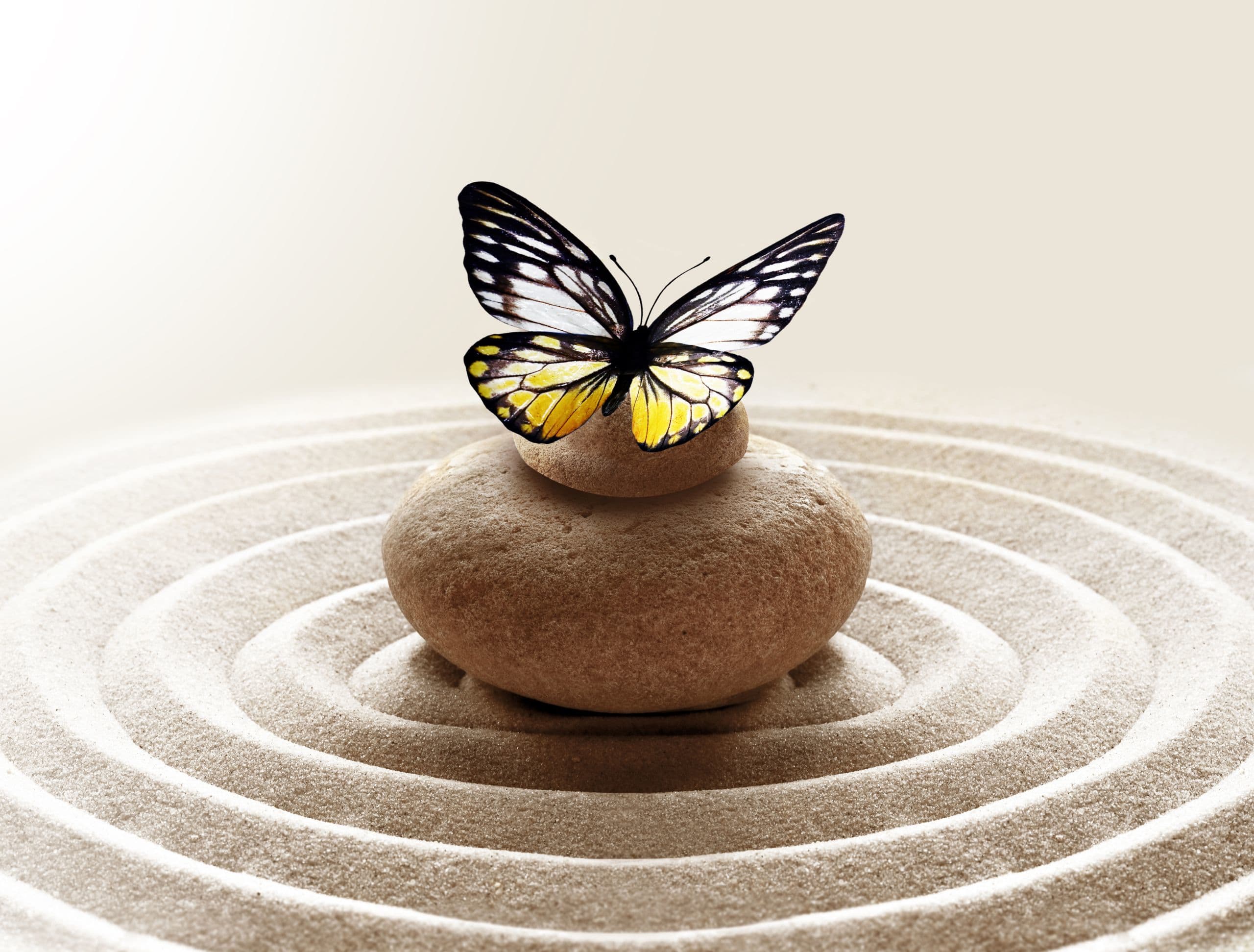 Shifting Perspectives: Finding God in Unexpected Places